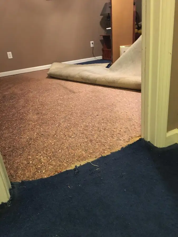 Carpet pad removal revealing water damage during Drying & Dehumidification in Rindge