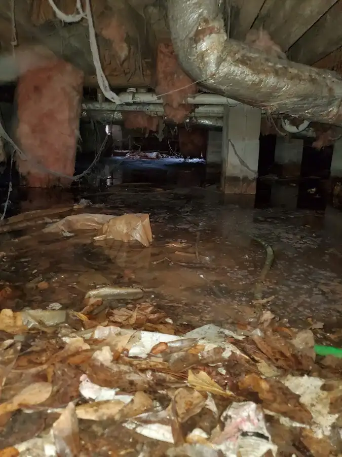 Crawl space flood assessment for Leak Detection & Repair in Rindge