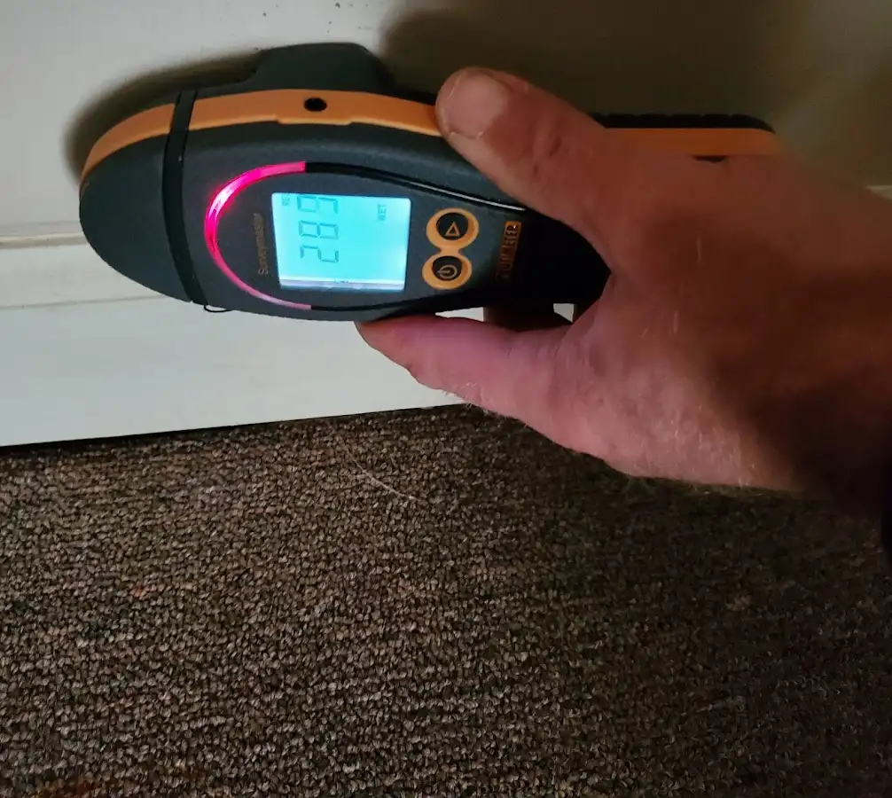 Moisture detection at baseboard during Mold Inspection & Testing in Rindge
